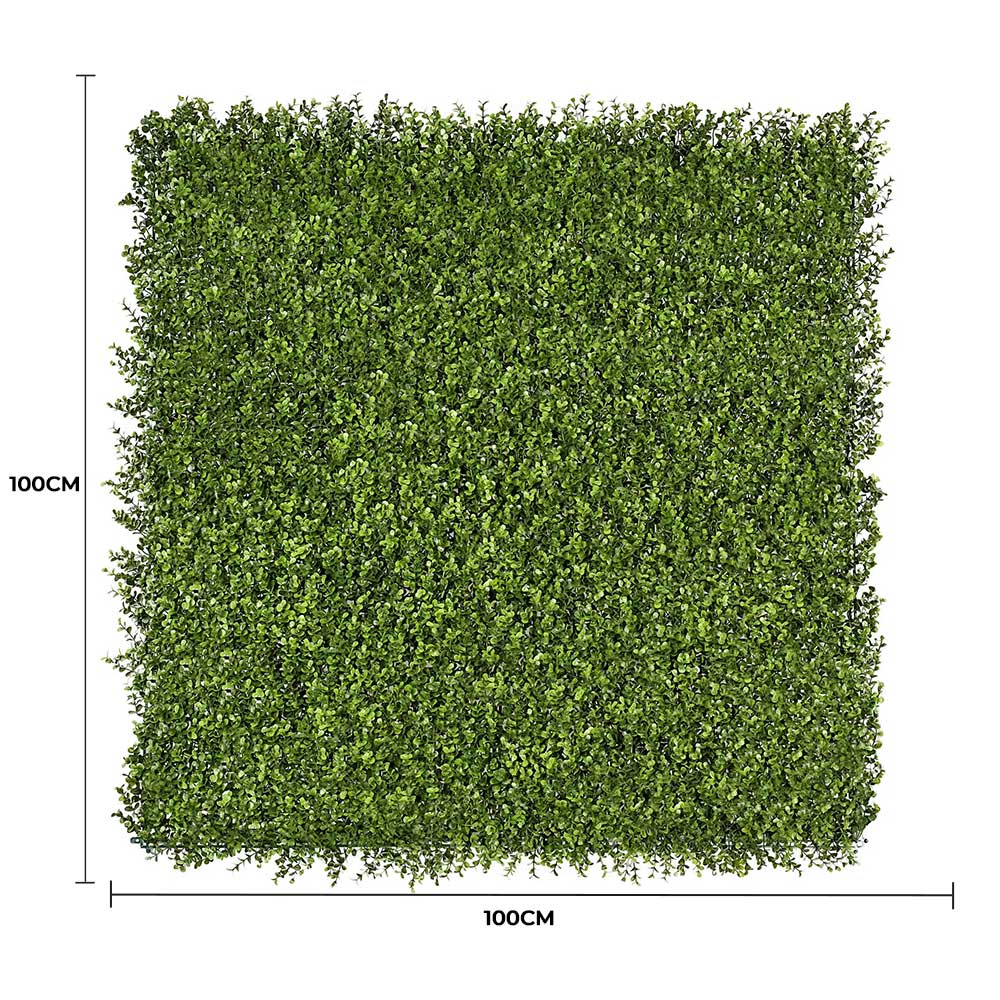Premium Natural Buxus Hedge Panels UV Resistant 1m X 1m