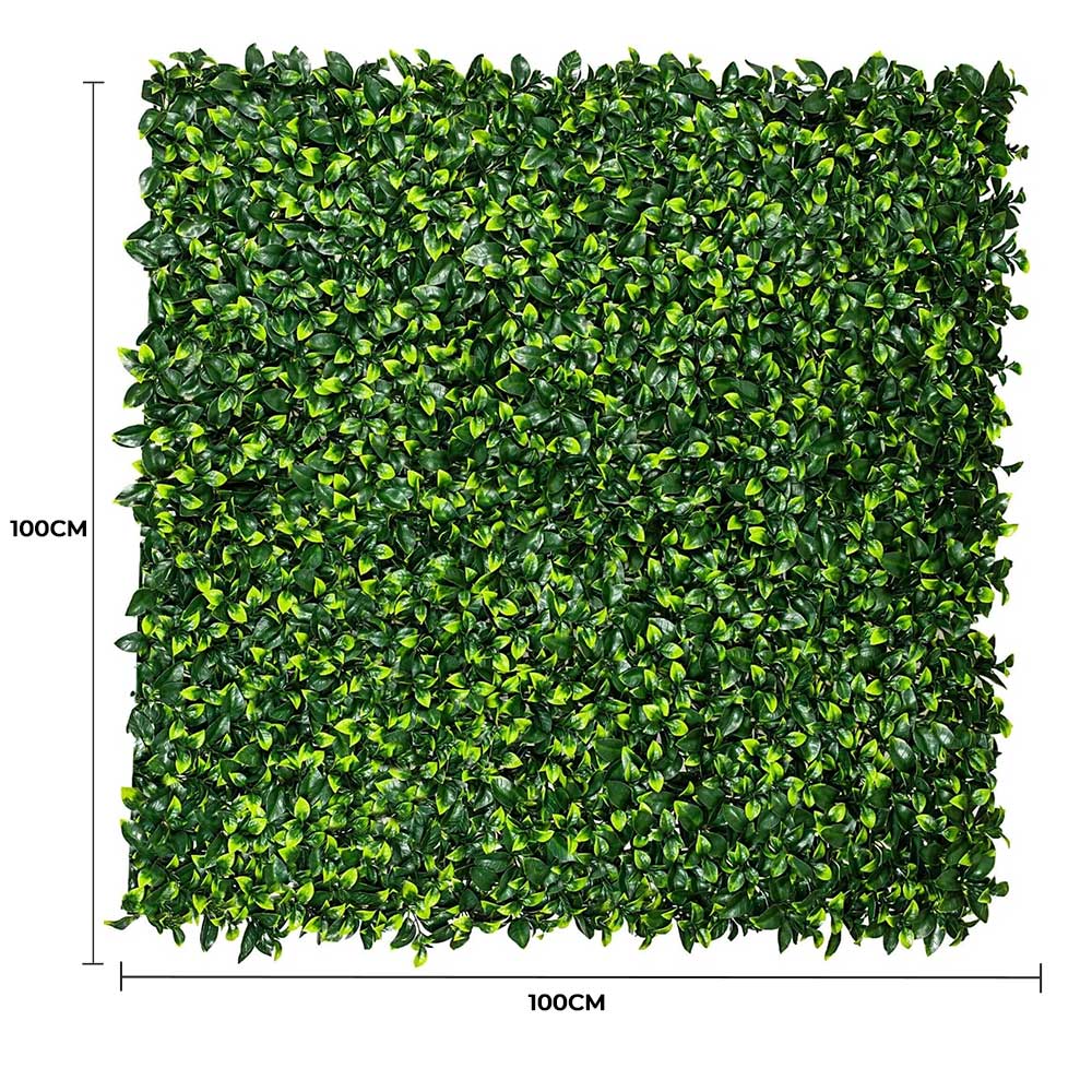Jasmine Hedge Screen Green Wall Panel UV Resistant 100cm x 100cm