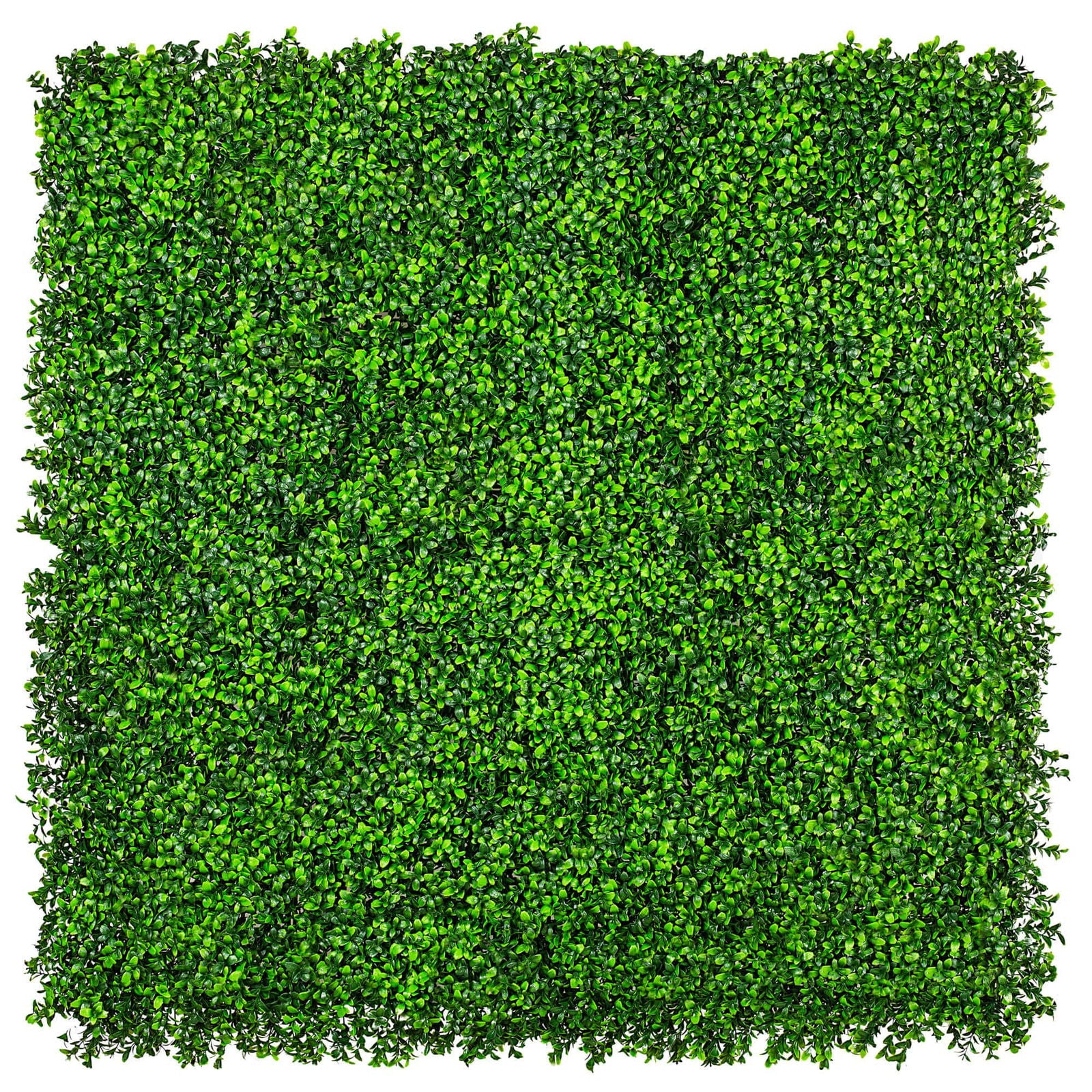 Luxury Deluxe Buxus (Bright) Hedge Panels UV Resistant 1m X 1m