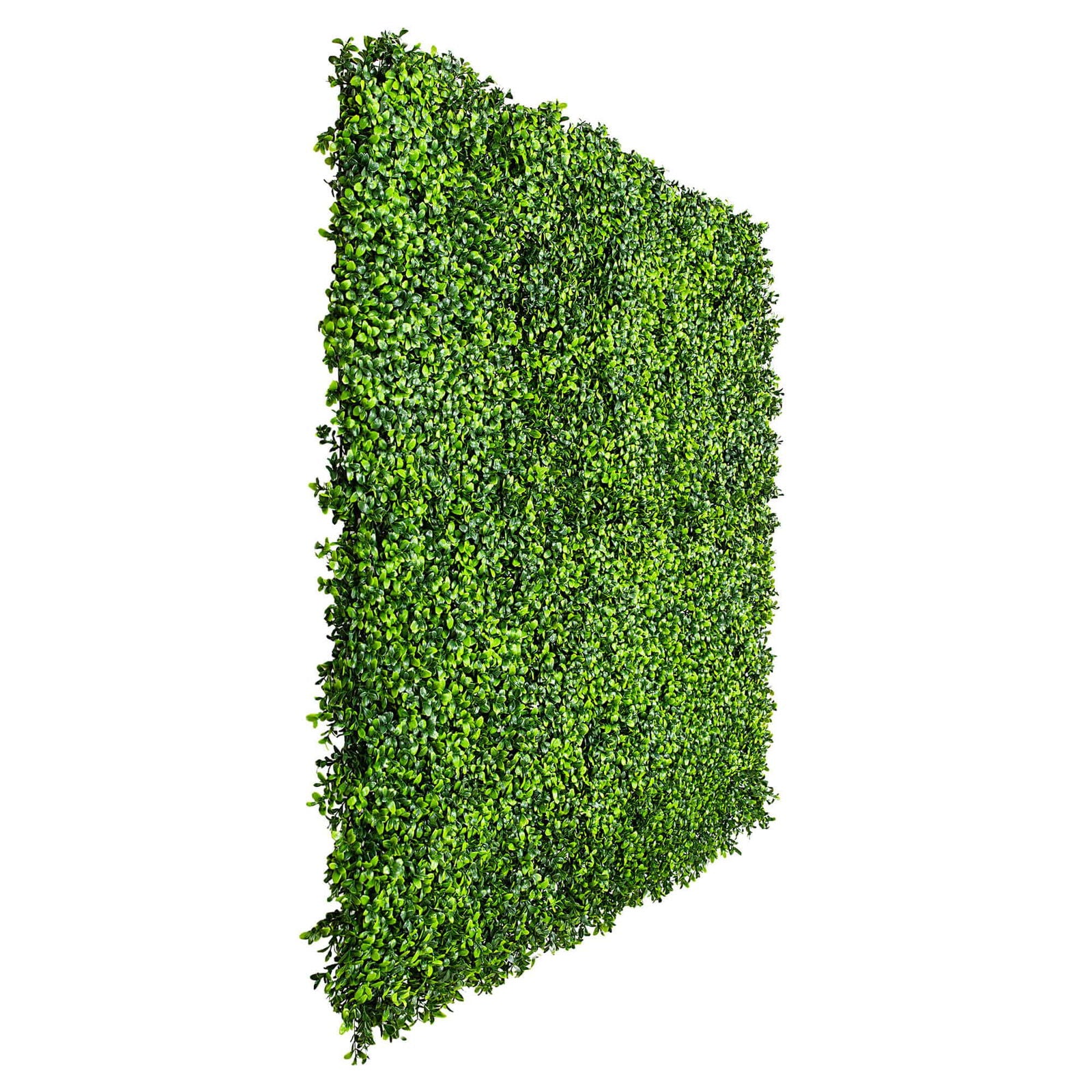 Luxury Deluxe Buxus (Bright) Hedge Panels UV Resistant 1m X 1m