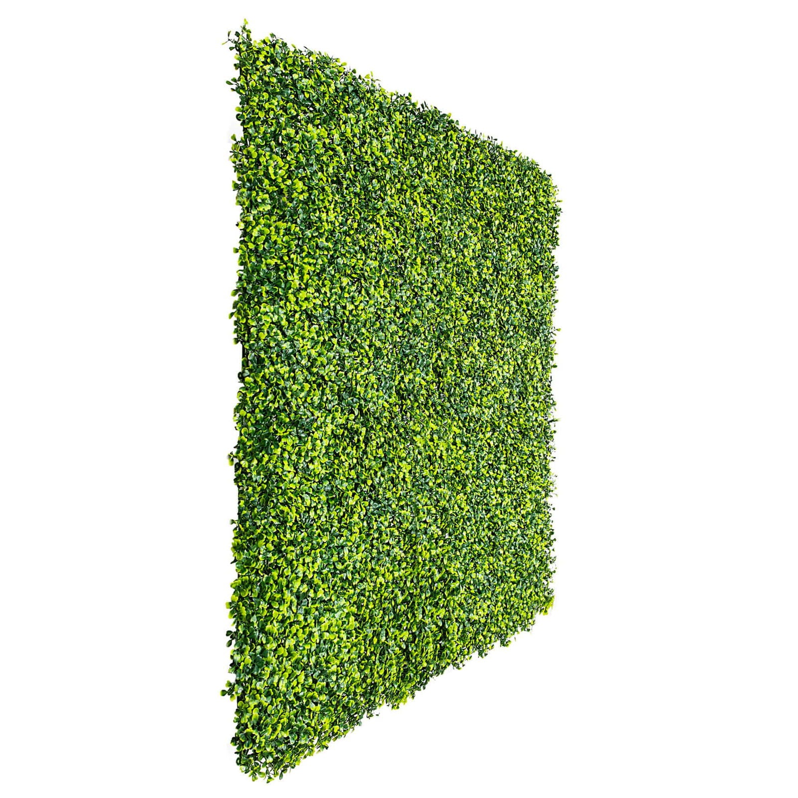 Mixed Boxwood Hedge Panels / Screens UV Resistant 1m X 1m