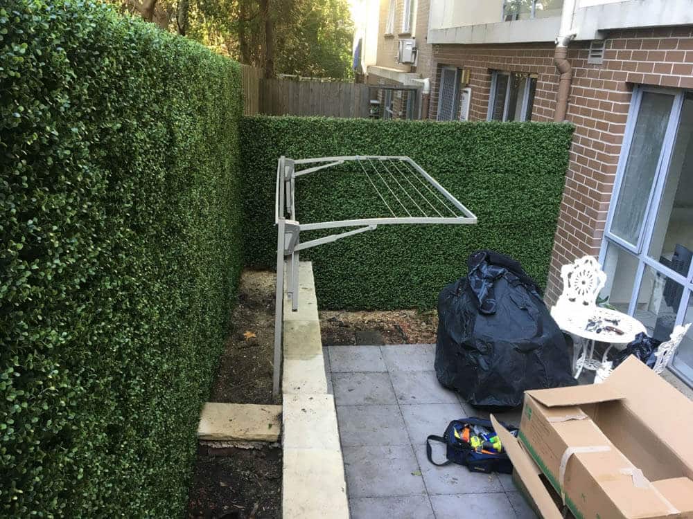 Premium Natural Buxus Hedge Panels UV Resistant 1m X 1m